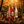 Pack Especial de Otoño Jen - Kufeo Despacho Gratis