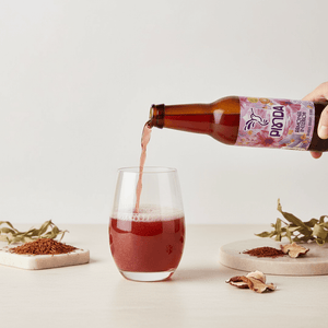 Kombucha Pinda Armonía Interior Botella 330cc